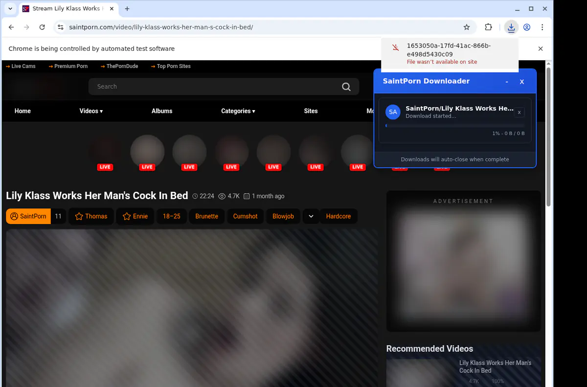 Saintporn Video Downloader browser extension screenshot 2