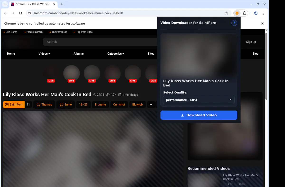 Saintporn Video Downloader browser extension screenshot 3