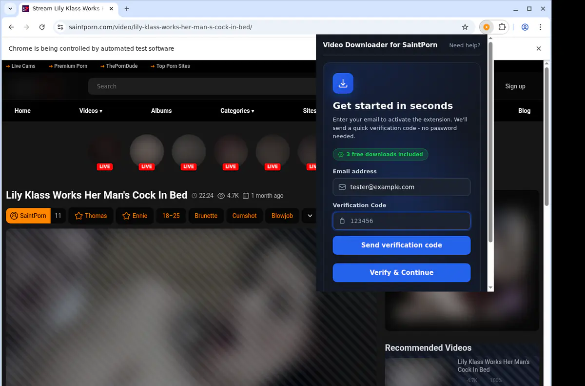 Saintporn Video Downloader browser extension screenshot 4