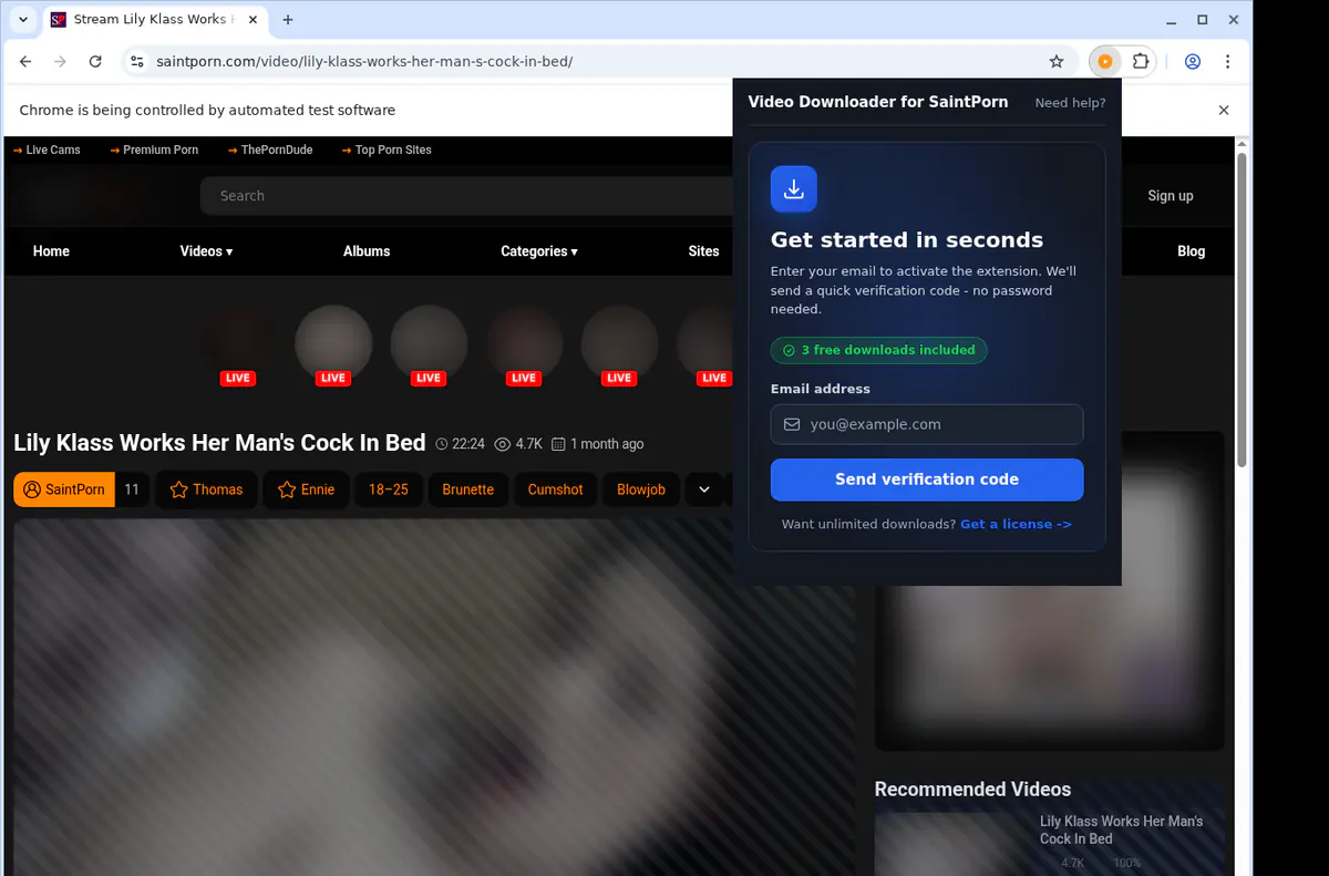 Saintporn Video Downloader browser extension screenshot 5